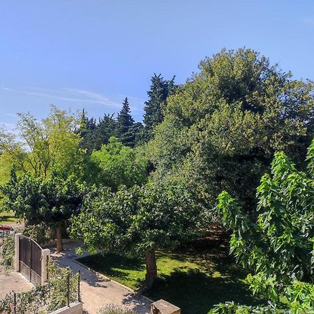 Mas Provencal Au Coeur Des Vergers Vallabrègues المظهر الخارجي الصورة