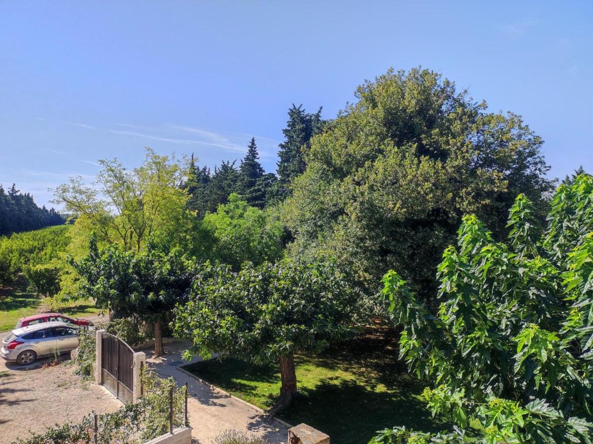 Mas Provencal Au Coeur Des Vergers Vallabrègues المظهر الخارجي الصورة
